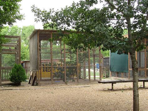 Rogers Wildlife Rehabilitation Center Dfw Urban Wildlife