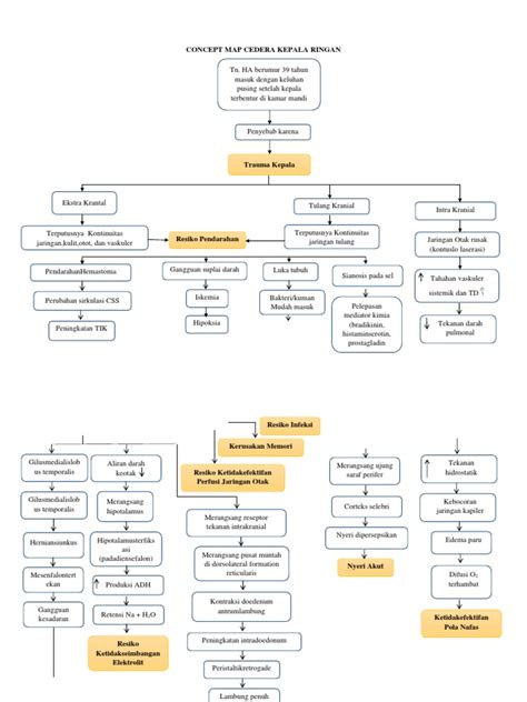 Pathway Cedera Kepala Pdf