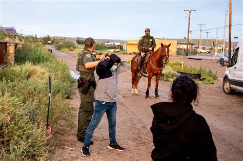 Border Patrol Using Wild Mustangs To Patrol Border With Mexico