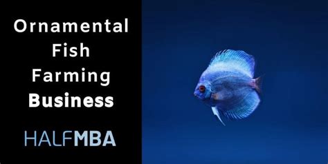 Ornamental Fish Farming Business Plan & Ideas | Half MBA