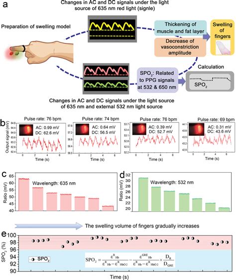 The Photoplethysmography Ppg Signals Of The Fingers Under Different