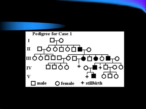 Sex Linked Traits And Pedigrees Ppt Download