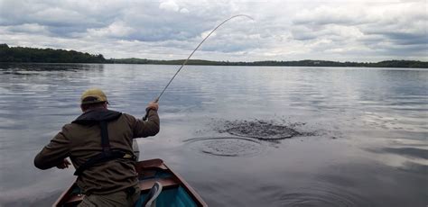 Irish Angling Update 07 June 2019 Fishing In Ireland Catch The