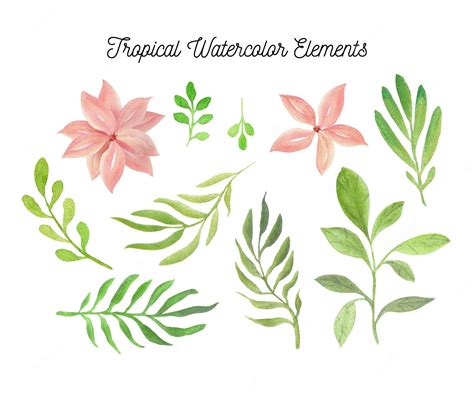 Premium Vector Watercolor Tropical Flowers And Leaves