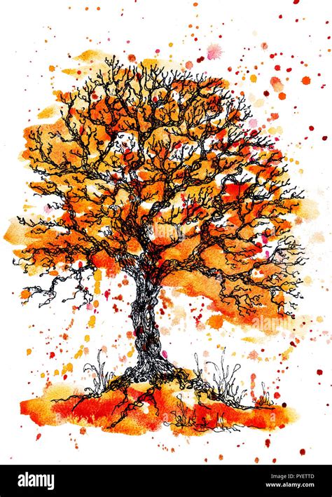 Cute colorful watercolor and ink orange tree illustration with splashes ...