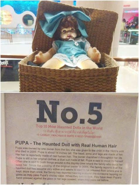 Pin By Wtf On Haunted Objects Haunted Dolls Creepy Facts Haunted