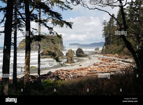 Ruby Beach - Olympic National Park, Washington Stock Photo - Alamy