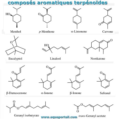 Terpénoïde définition et explications