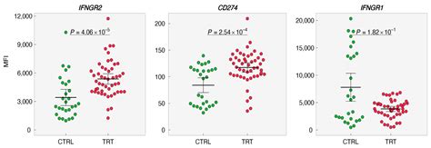 Cells Free Full Text Ifn γ Induces Pd L1 Expression In Primed Human