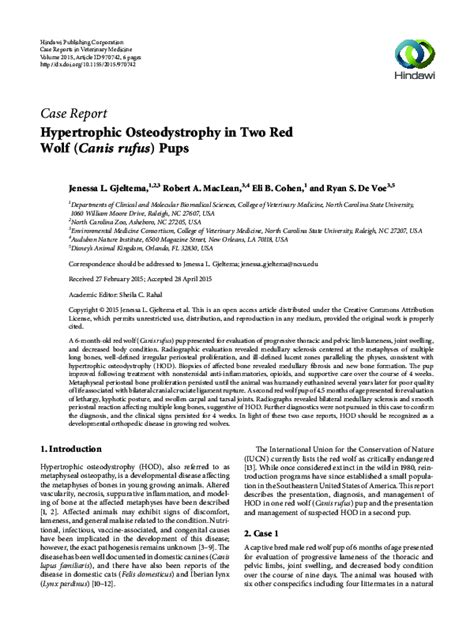 (PDF) Hypertrophic Osteodystrophy in Two Red Wolf ( Canis rufus ) Pups