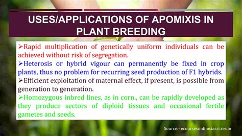 Apomixis Ppt