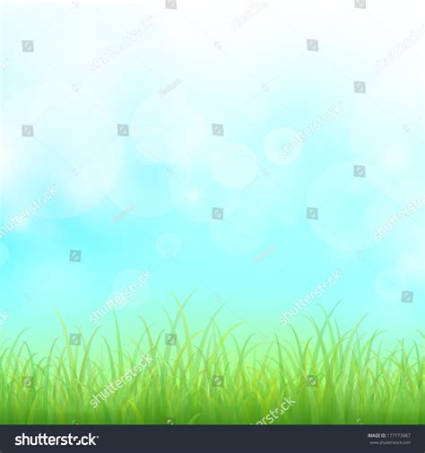 Green Grass Bokeh Background Vector Stock Vector Royalty Free 177773987 Shutterstock