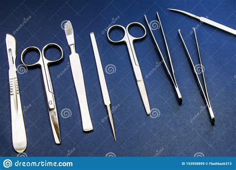 Dissection Kit - Premium Quality Stainless Steel Tools for Medical ...