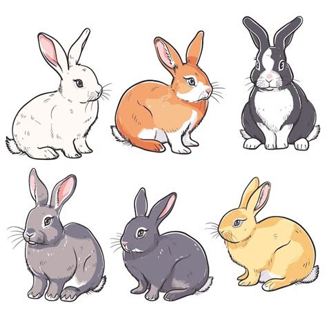 Six Lapins Dessin S La Main De Diff Rentes Couleurs Illustrations De