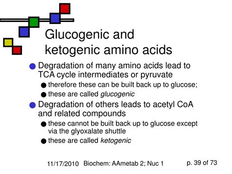 Ppt Amino Acid Metabolism Ii Nucleic Acid Chemistry I Powerpoint