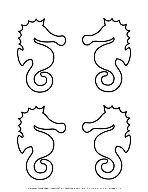 Seahorse Outline Four Seahorses Planerium