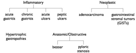 Upper Gi Pathology Ii Flashcards Quizlet