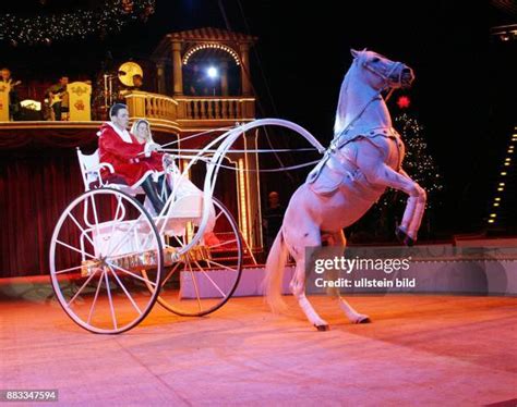 Manege Zirkus Photos And Premium High Res Pictures Getty Images