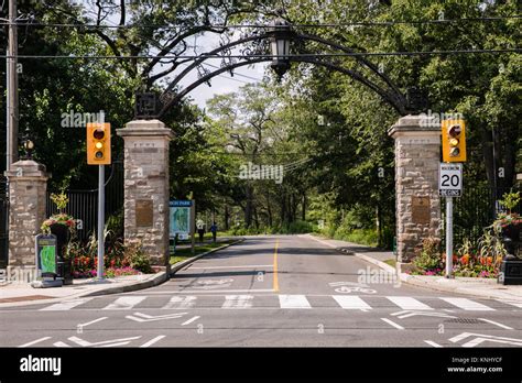 Toronto Canada August 21 2017 Roncesvalles Neighbourhood In Summer