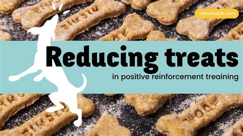 How To Reduce The Amount Of Treats Given In Positive Reinforcement Dog