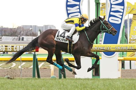 【東京4r・3歳未勝利】祖母が重賞3勝の良血スガオノママデが初出走v 吉田隼人騎手「能力ある」 Umatoku 馬トク