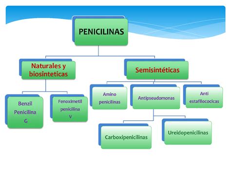 Solution Penicilinas Naturales Studypool