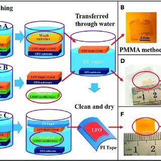 Direct Growth Of Oxide Thin Films On Flexible Mica A Standard Q Q