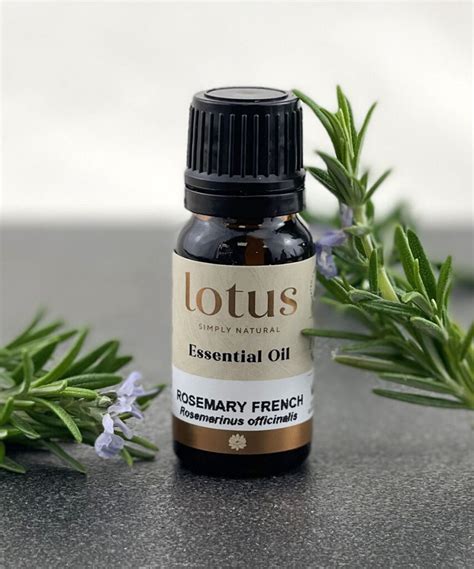 Rosemary French Lotus Oils New Zealand