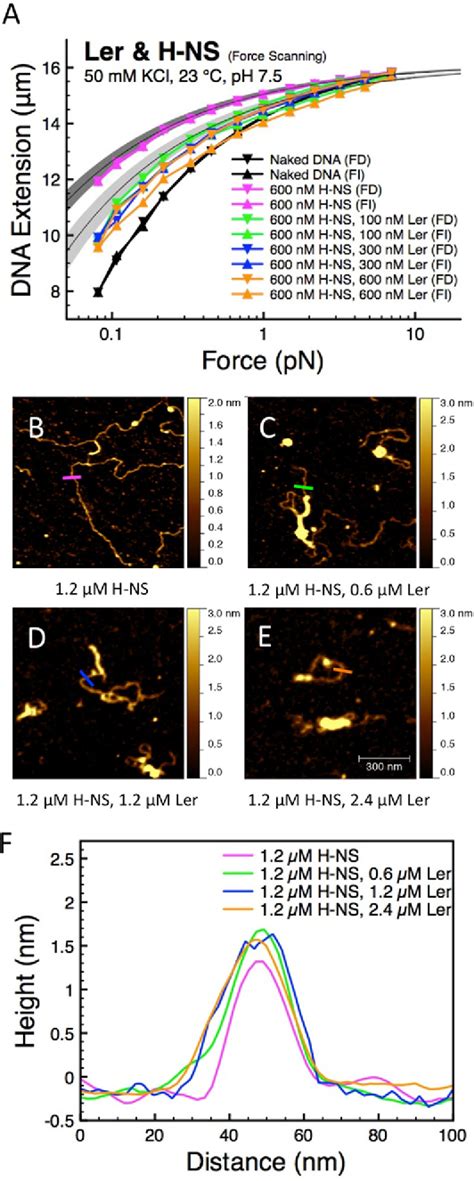 Figure From Locus Of Enterocyte Effacement Encoded Regulator Ler Of