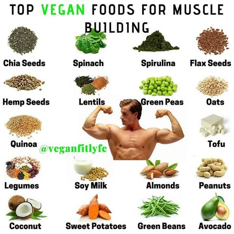 Top vegan foods for muscle building 💪🌱🌱 --- Vegan teach 🎓 ~ #VeganNews ...