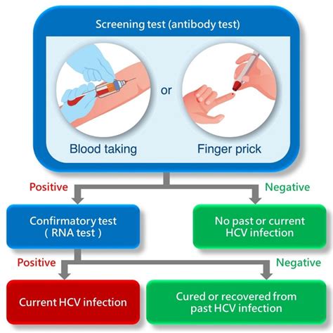 Viral Hepatitis Control Office What Is Hepatitis Hepatitis C