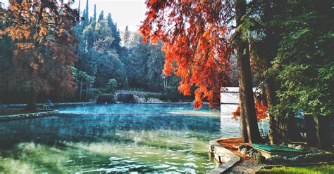 Terme di Colà storia come arrivare al parco termale orari e prezzi