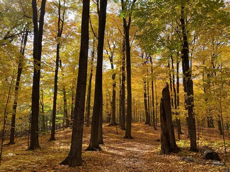 Fall 2025: When exactly the autumnal equinox begins