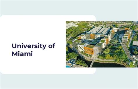 Top Miami MBA Programs - MBA & Beyond