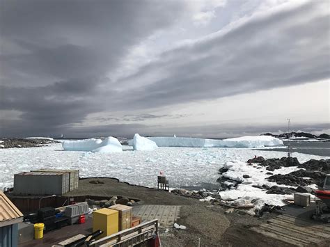 Icebergs came to visit us in Antarctica : r/antarctica