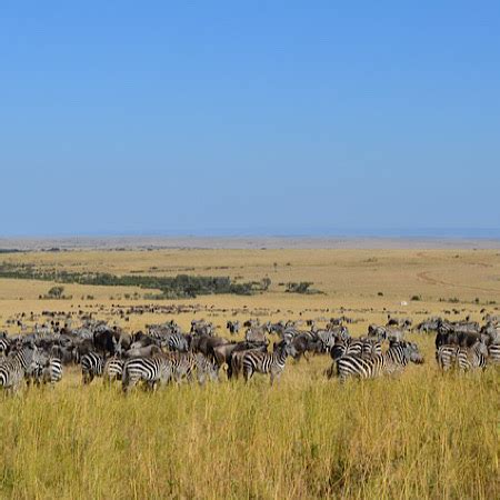 Steppe Climate | Definition, Types & Examples | Study.com