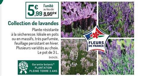 Promo Collection De Lavandes Chez Botanic Icatalogue Fr