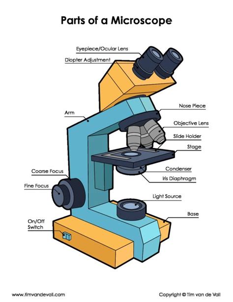 Microscope Parts Diagram PDF - Science Printables