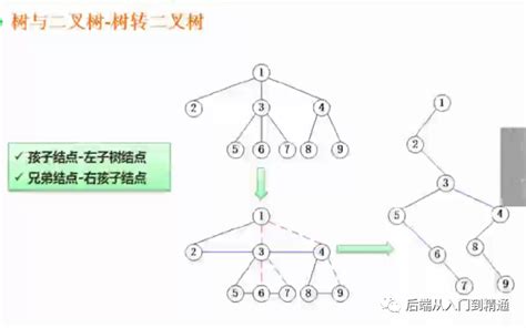 二叉树、队列、栈、广义表（二）数据结构与算法（十八） 墨天轮