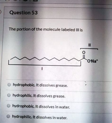 question 53 the portion of the molecule labeled il is ona hydrophobic ...