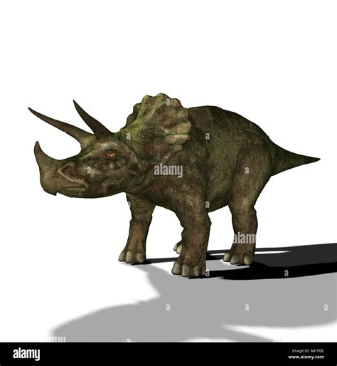 The Triceratops Is Called Three Horn And About 9 M Long And In The