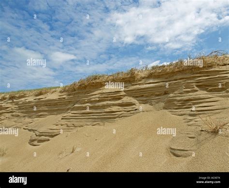 erosion of sand in dunes at coast Stock Photo - Alamy