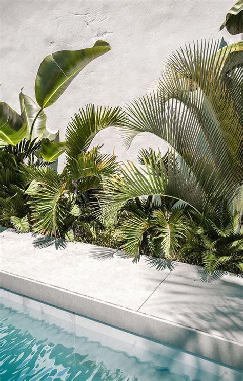 25 Relaxing Tropical Pool Gardens For Summer HomeMydesign