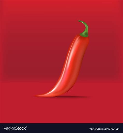 Red Hot Chili Pepper Realistic Royalty Free Vector Image