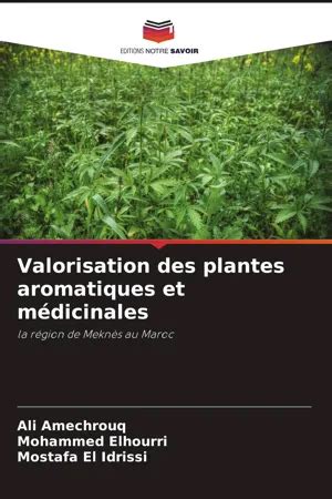 Pdf Valorisation Des Plantes Aromatiques Et M Dicinales De Ali