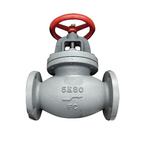 Marine Valve Jis F7353 Cast Iron Screw Down Check Globe Valve 50a 350a