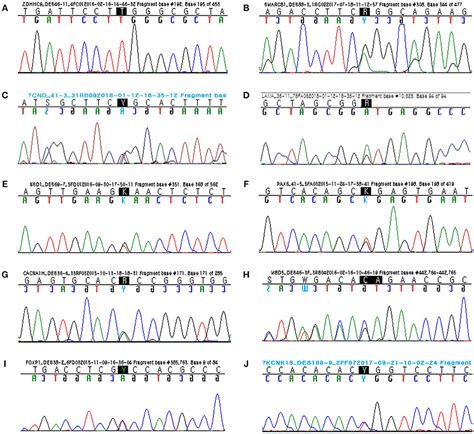 Frontiers Targeted Next Generation Sequencing Of Korean Patients With