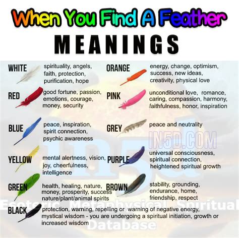 Do You See Feathers Different Colours Carry Different Messages