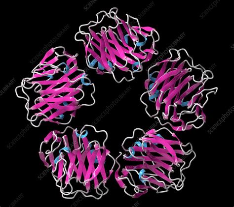 C Reactive Protein Molecule Illustration Stock Image F