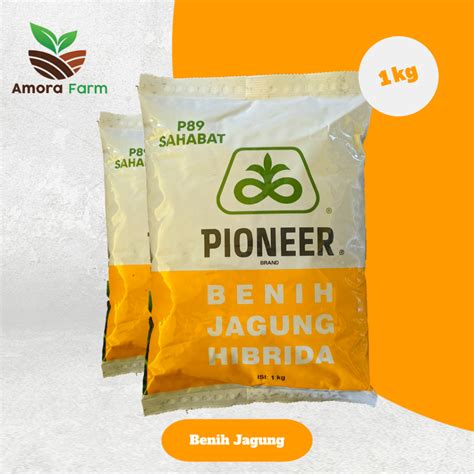 Jual BENIH JAGUNG HIBRIDA PIONEER P89 KEMASAN 1KG Shopee Indonesia